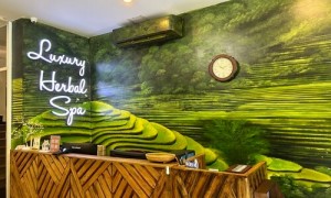 Herbal Spa Danang - Top 1 Spa Massage on TripAdvisor