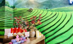 Herbal Heritage Spa Experience in Da Nang